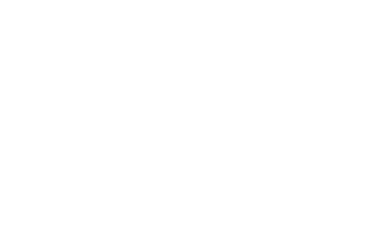 Apepi