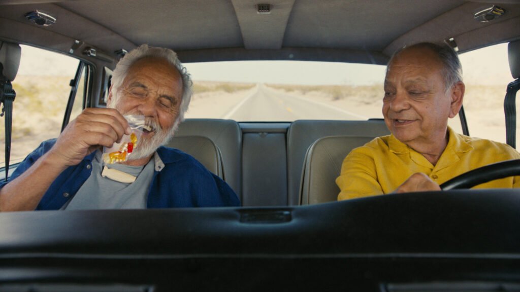 Cheech & Chong's Last Movie