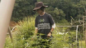 O Outro Mundo de Sofia