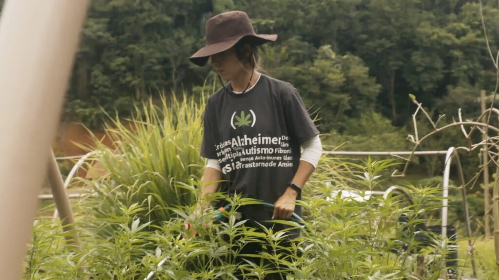 O Outro Mundo de Sofia