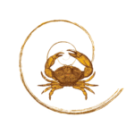 Carol Soares - Reggae na Praça