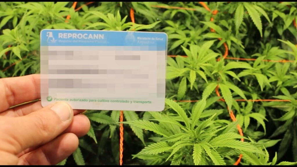 Queimando fronteiras