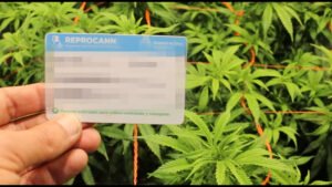 Queimando fronteiras